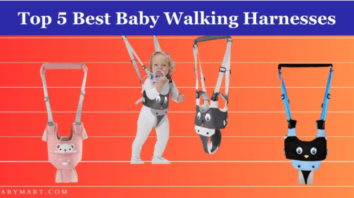 Top 5 Best Baby Walking Harnesses