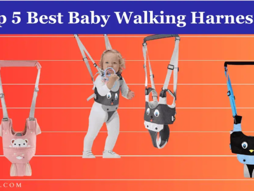 Top 5 Best Baby Walking Harnesses